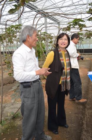 前花蓮縣農業局長杜麗華，七日參訪生產無花果聞名的大義合作農場