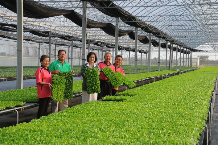 蘇縣長觀崙背鄉蔬菜產銷班13班溫室設施，看到溫室農業豐碩成果，感到相當欣慰