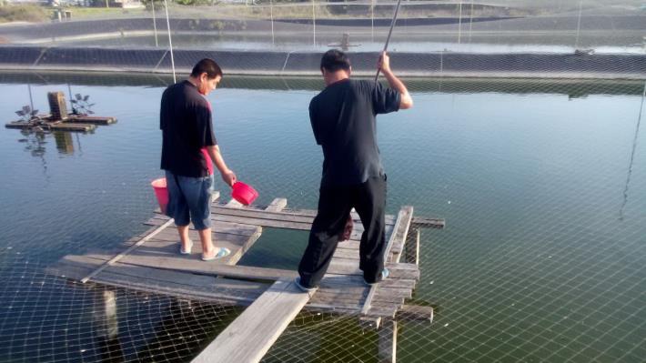 蒲燒鰻魚驗出孔雀綠  縣府針對相關養殖採樣送檢1