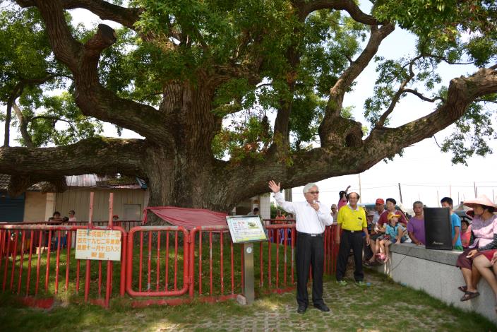 李縣長表示，縣府制定「雲林縣珍貴老樹保護自治條例」