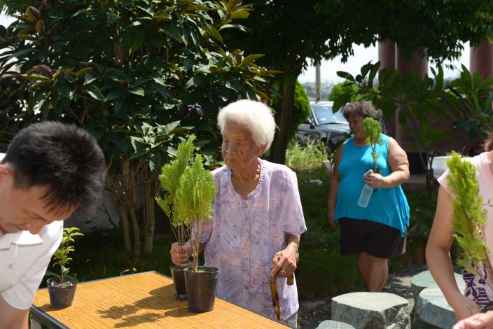 90幾歲阿嬤也來領取樹苗