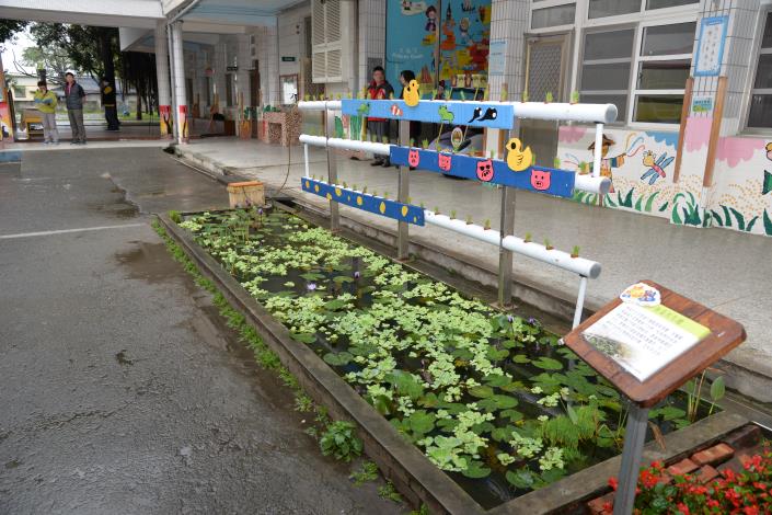 光復國小打造魚菜共生的生態有機綠校園。