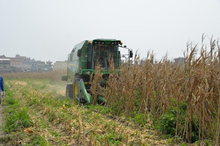目前雲彰地區共計有6台玉米收穫機，方便農民採收，都大大便利農民，增加收益。