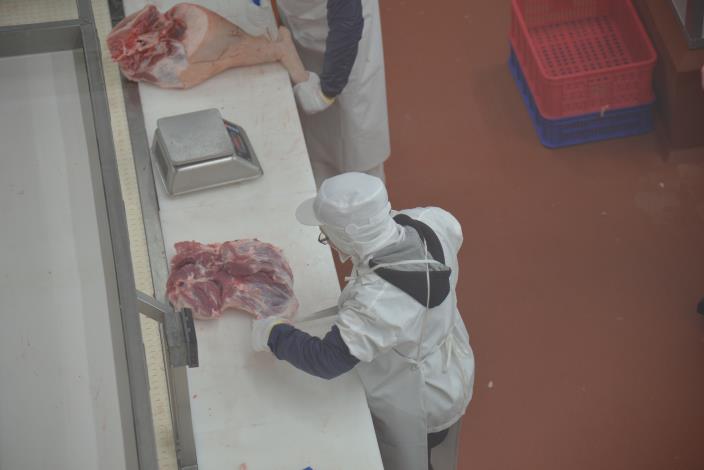 良作工場豬肉分切作業