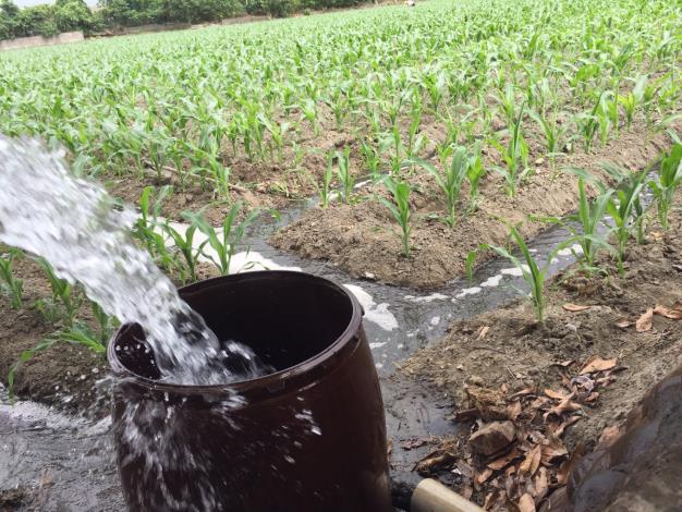 畜牧肥水施灌數全國第一  雲林縣環保農業雙贏 1