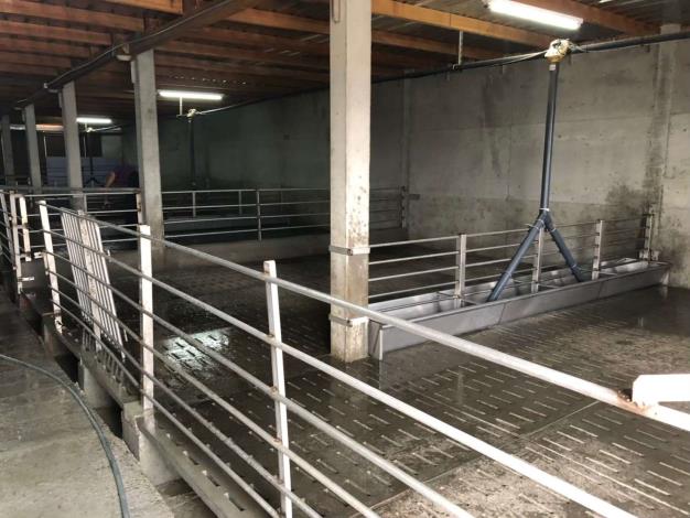 豬場設置高床  減少清洗頻率及廢水量