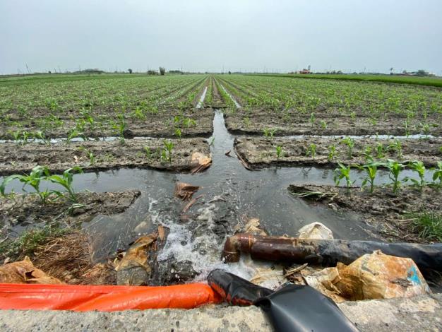 業者施灌沼液，取代化學肥料的施用。