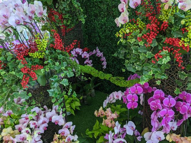 五顏六色的花卉裝置藝術  令人神清氣爽