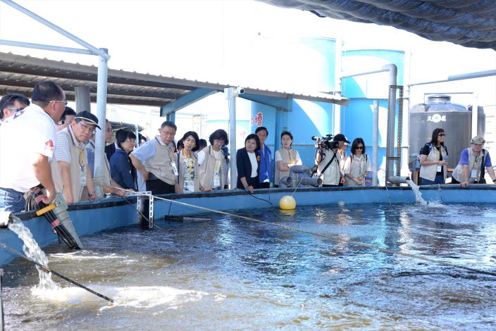 參觀台灣鯛智能養殖