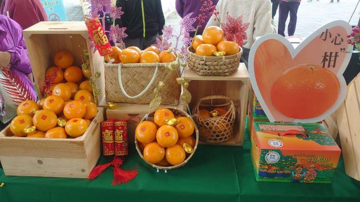 橙柑蜜甜揪甘心． 雲林良品最安心一雲林優質春節年售在花博-紫報