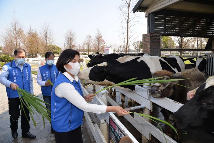 崙背鄉是台灣四大生乳產區之一，並是台灣第一個酪農專區