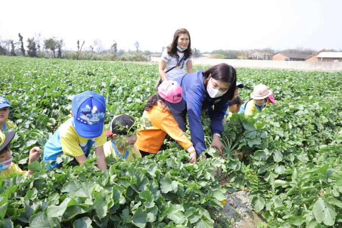 張縣長陪小朋友一起下田採蘿蔔，體驗農夫的辛苦，同時進行環境及食農教育。