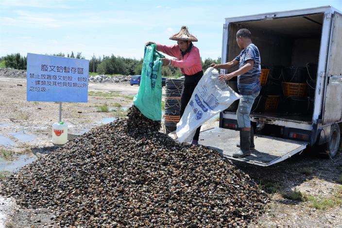縣府去年7月於台西鄉設置雲林縣廢棄文蛤殼暫置場