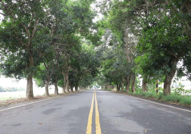 串聯虎尾鎮新、舊鎮區的「芒果道」將從8米寬拓寬為30米。