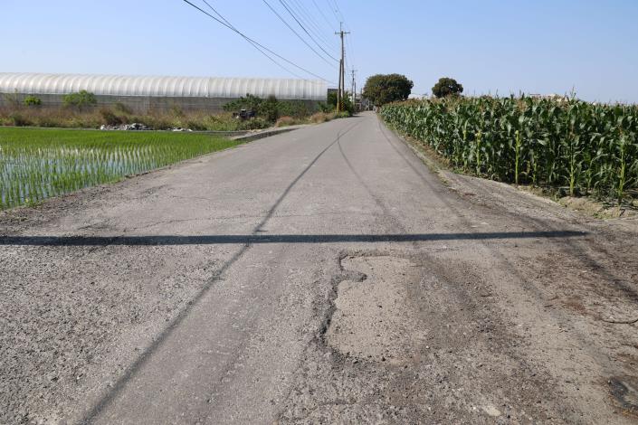 林內鄉轄內道路因年久失修，導致路面老化析離凹凸不平整