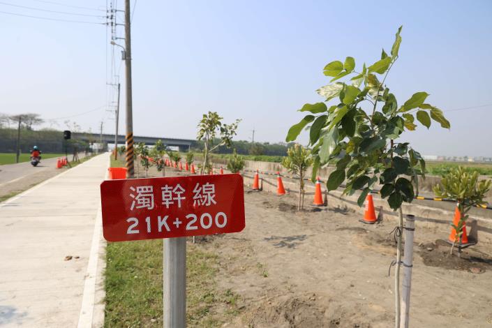 縣府鼓勵種樹，兩年來各局處植樹超過30萬顆