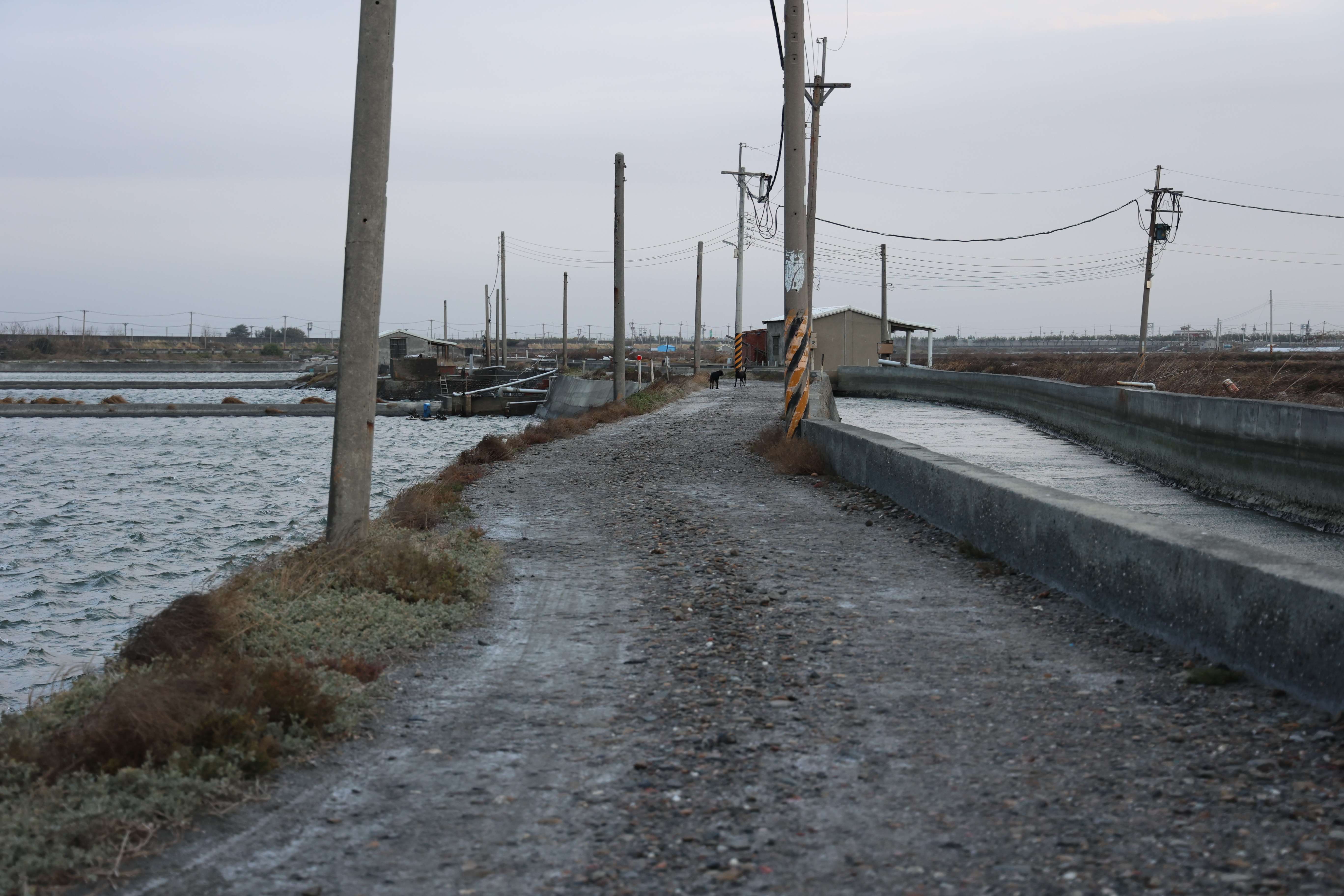 雲林縣沿海養殖地區路面因年久失修、龜裂破損情形嚴重