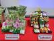 messageImage_1666171928278