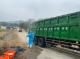 LINE_ALBUM_20221121黃藝畜牧場訪視_221125_1