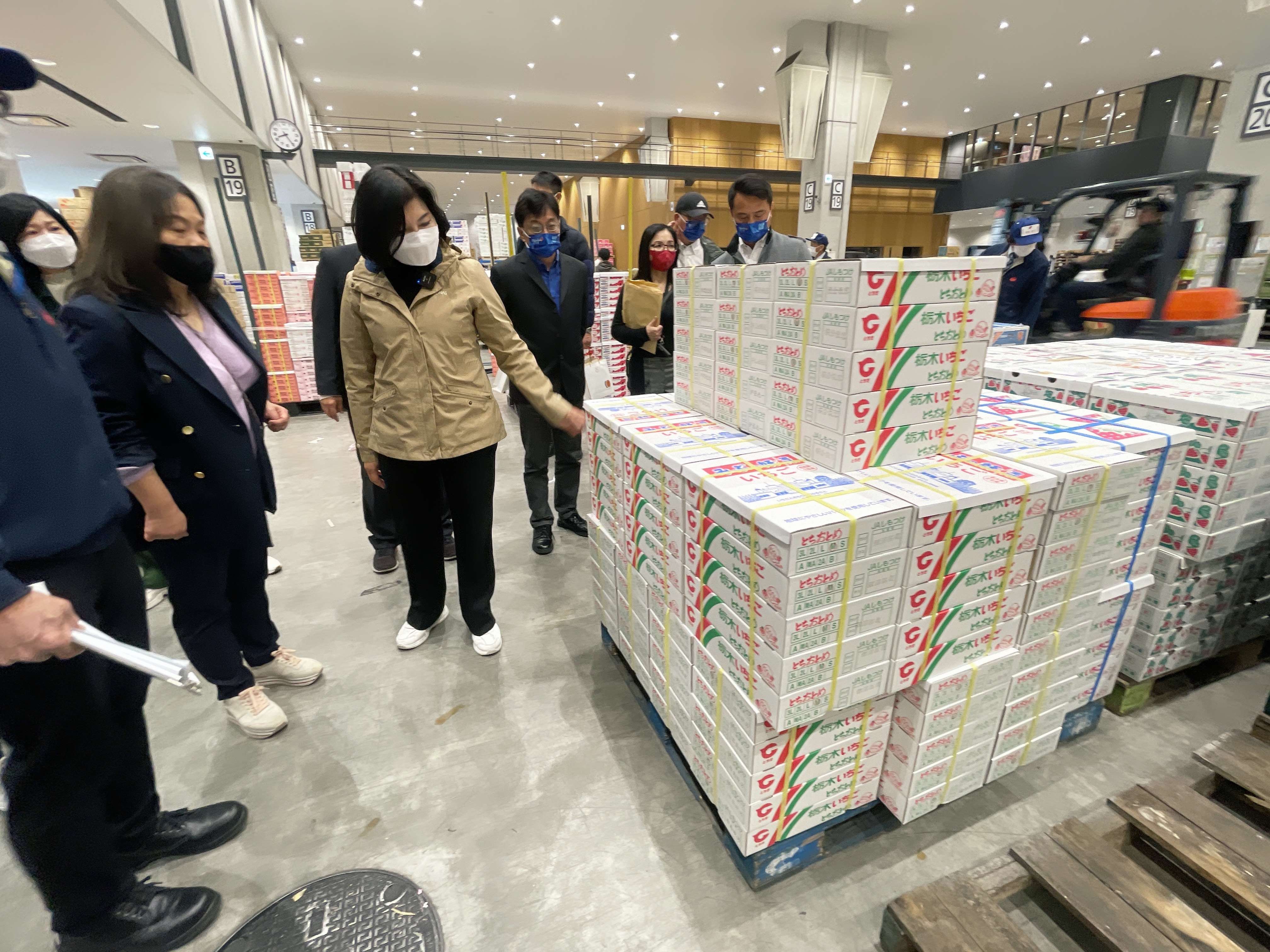 張縣長觀摩東京豐洲市場 運銷拍賣冷鏈作業系統