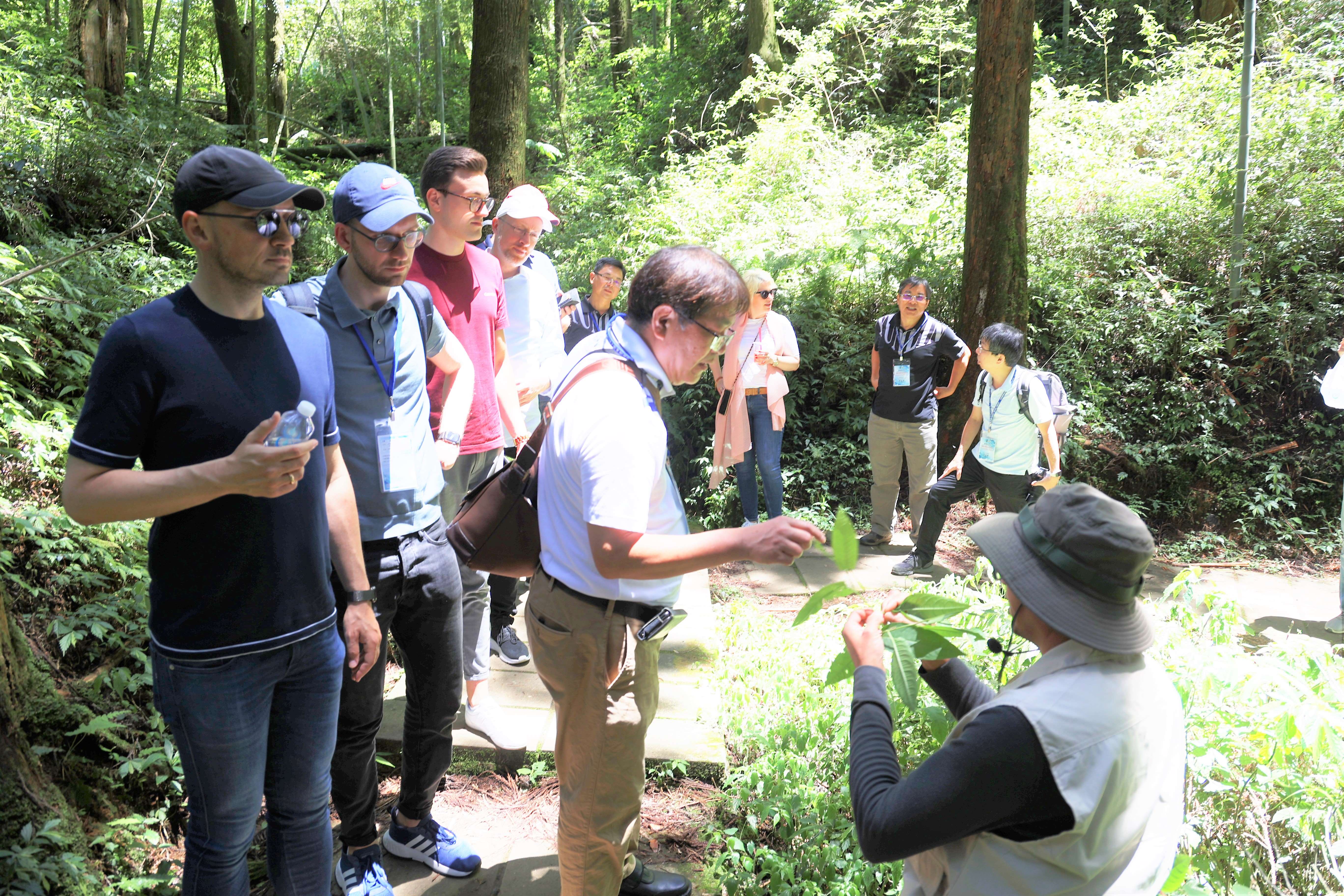 透過將近40分鐘杉林步道森林療癒體驗，沿途導覽台灣山林生態以及常見藥用、食用植物解說。