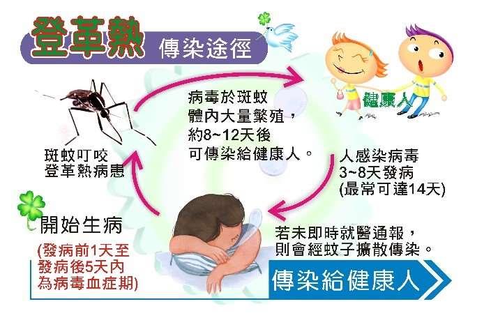 登革熱主要由病媒蚊傳播。