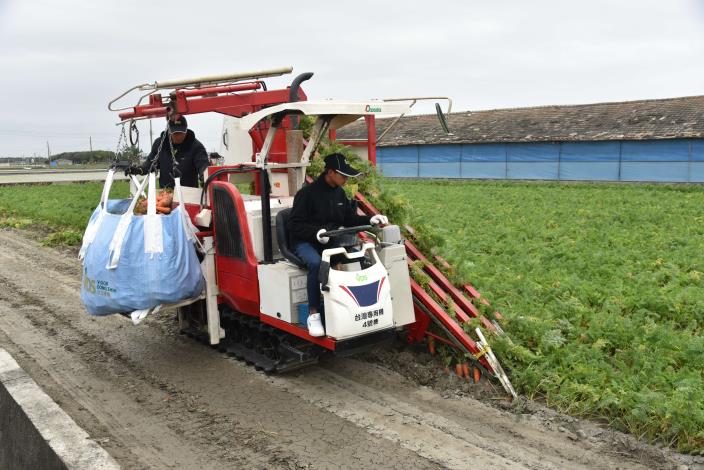 日本OSADA農機株式會社幫助臺灣打造的胡蘿蔔採收機