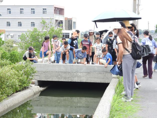 認識成龍濕地環境 (2).JPG