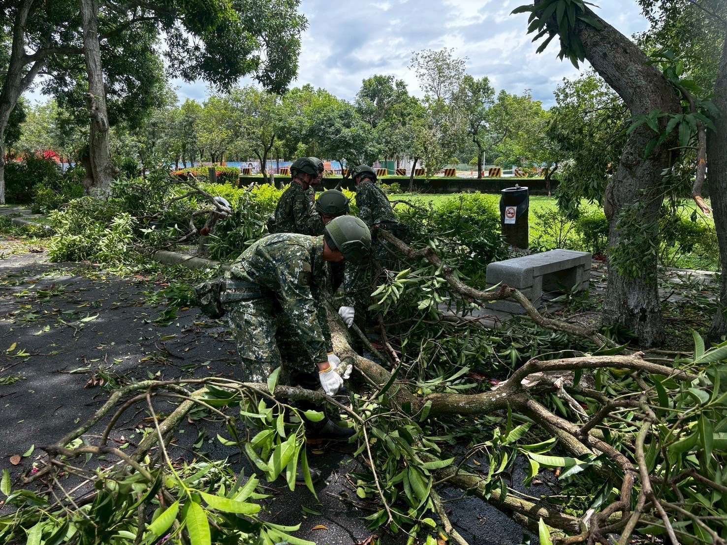 古坑綠色隧道因昨夜颱風侵襲，全長約2公里路面散落大量樹枝，另有約7至8棵大型芒果樹傾倒，影響道路通行，縣府民政處今早協請國軍助古坑公所加速清理復原工作。