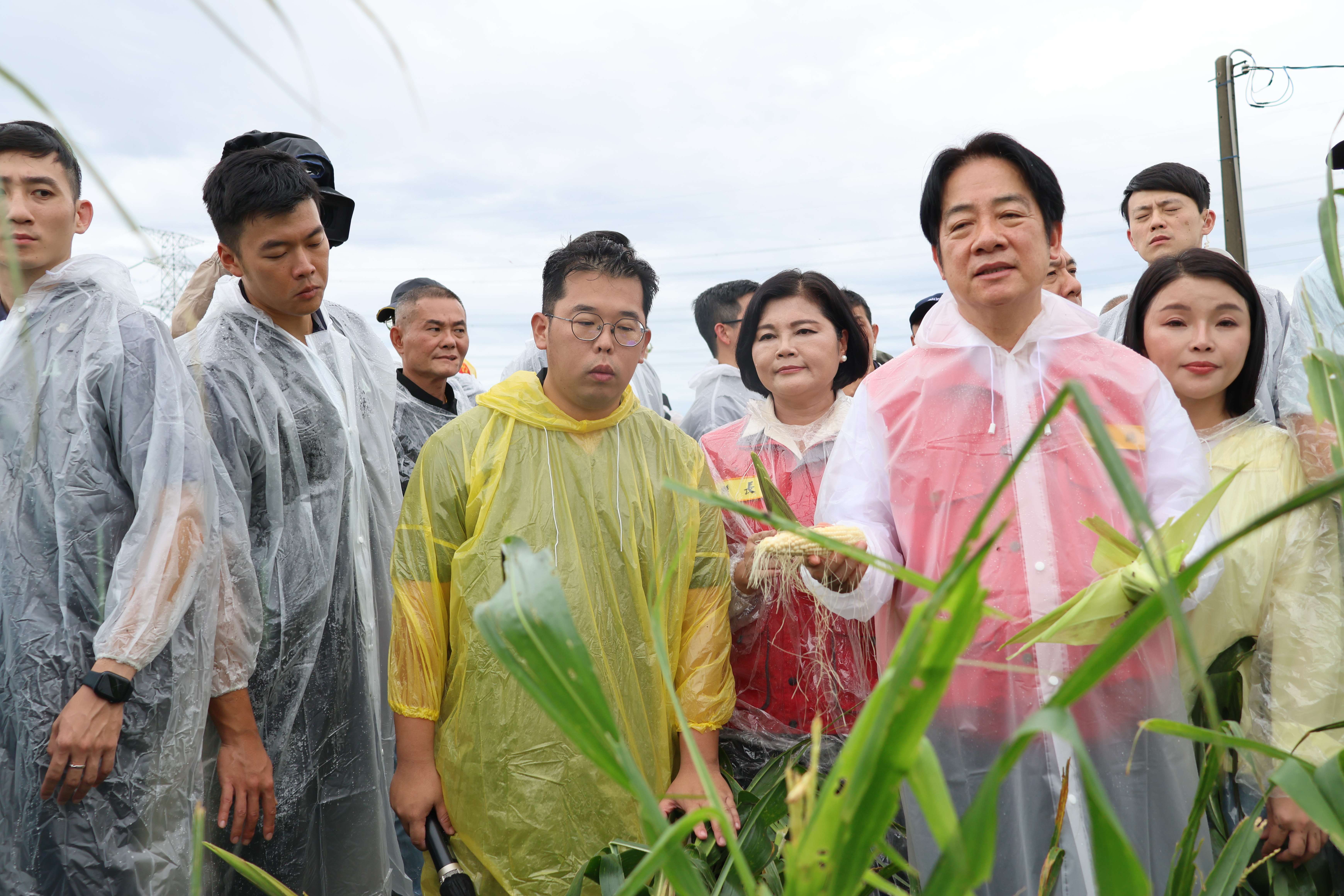 玉米田主:元長鄉雜糧產銷班第29斑斑長邱茗莊(中 著黃色雨衣)說明  受損倒伏的玉米完成無法收成 