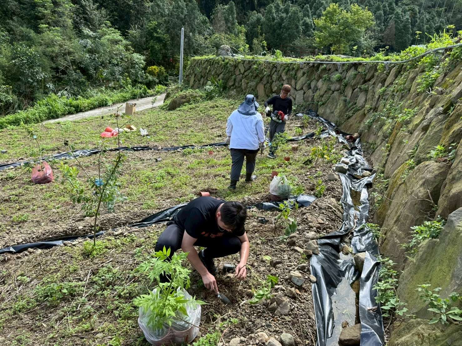 縣府今年新設大湖底賞螢示範區，位於鄰近野溪水源豐沛地帶，具備復育水生螢火蟲的理想條件。