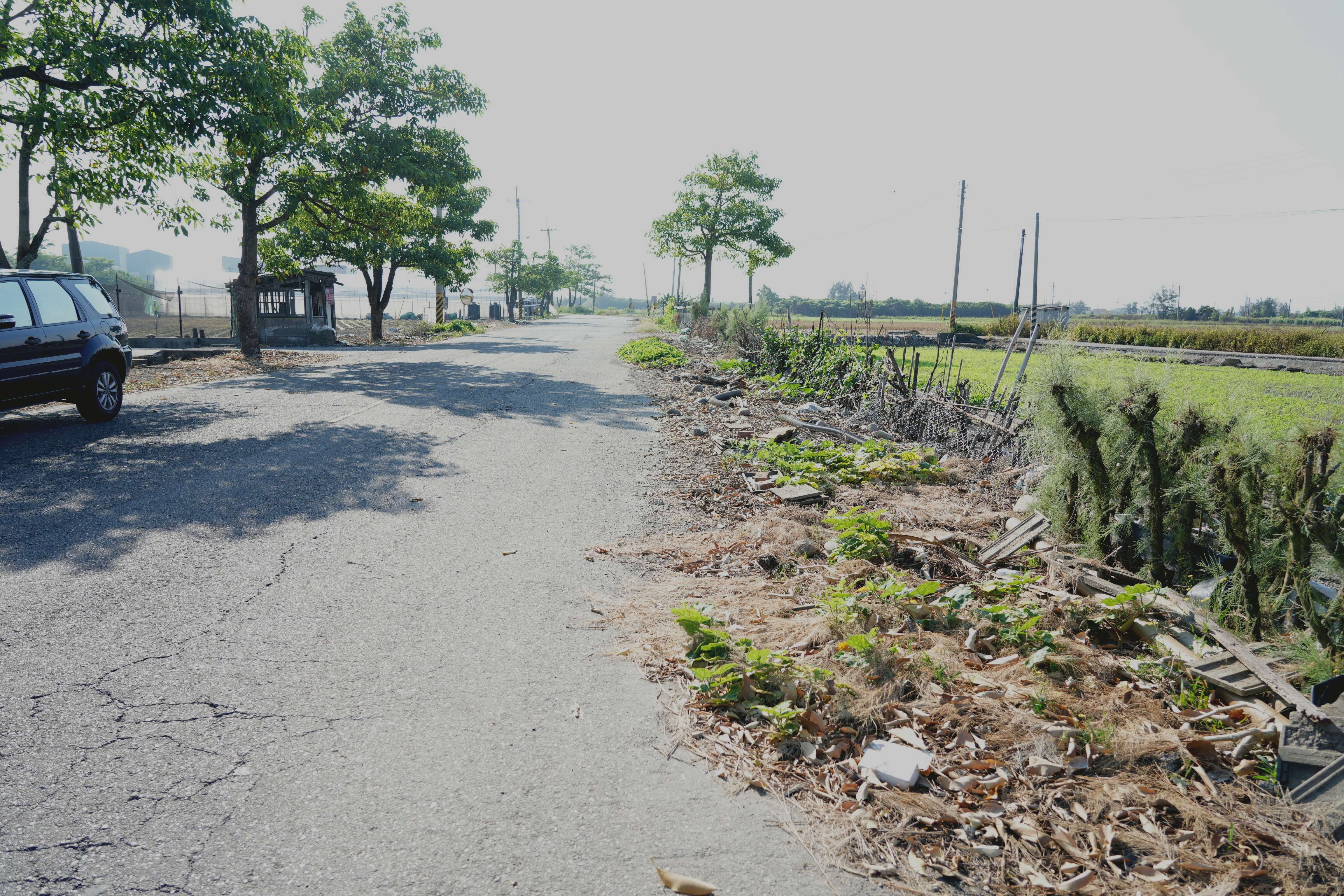 圖片來源:雲林縣政府