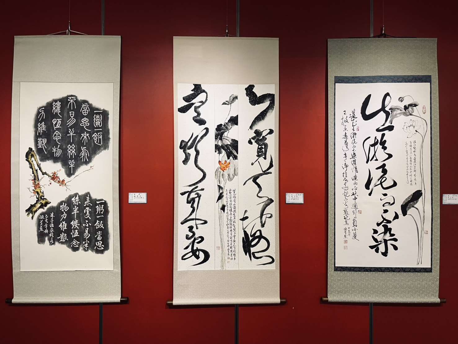 圖片來源：雲林縣政府