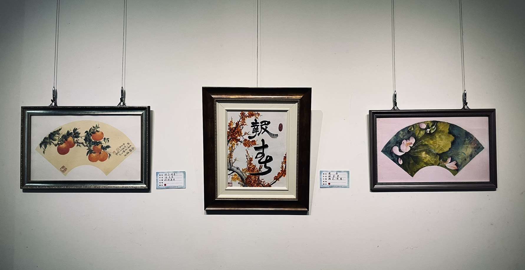 圖片來源：雲林縣政府