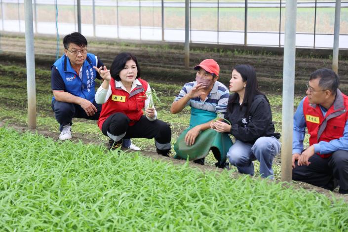 在農民事先搶收及颱風預期心理,近期葉菜類需求量平穩