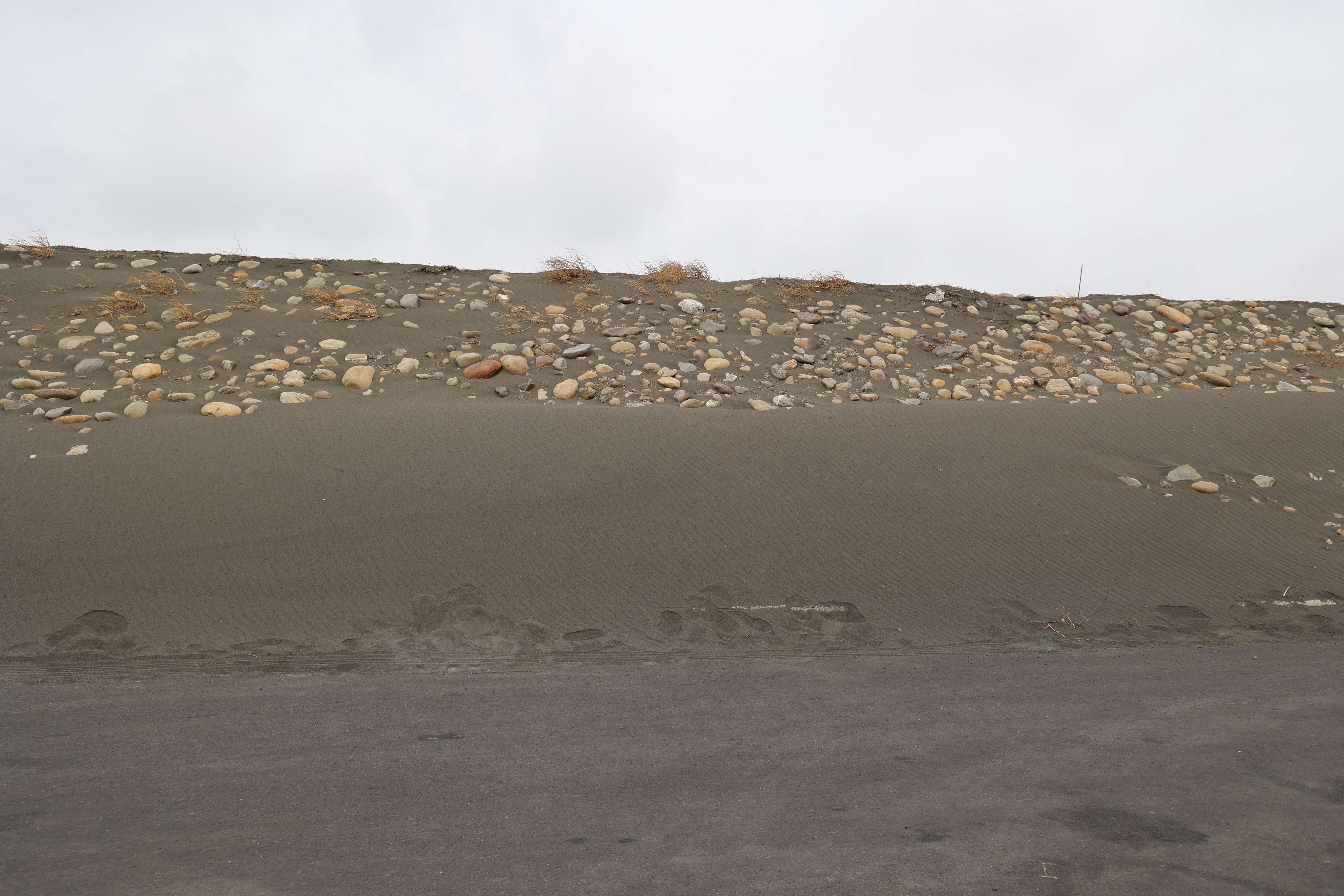 圖片來源：雲林縣政府