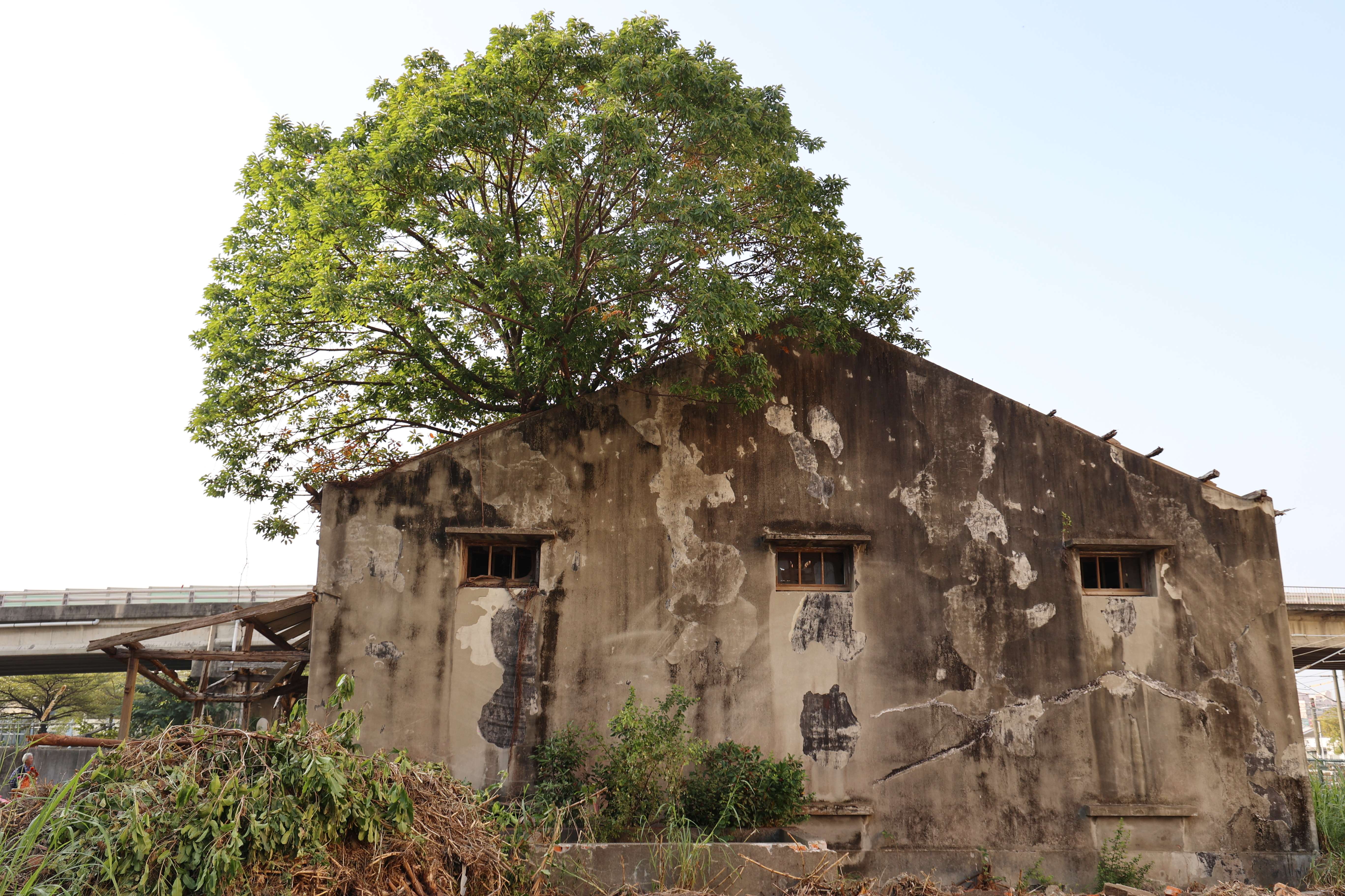 圖片來源：雲林縣政府