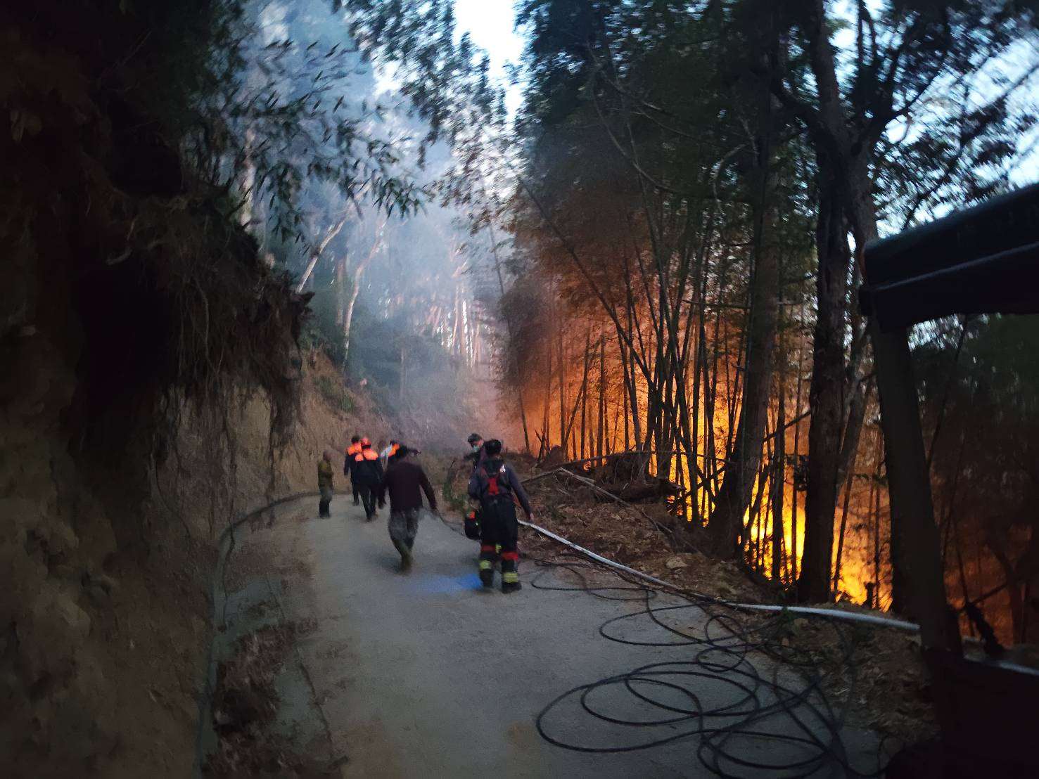 圖片來源：雲林縣政府