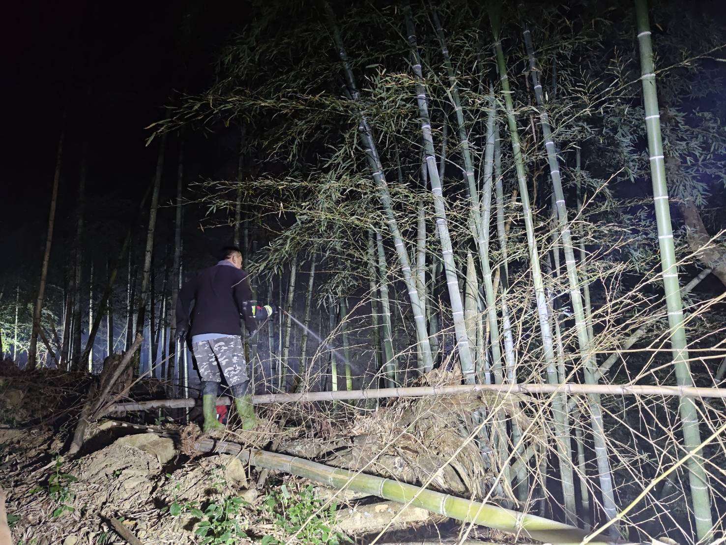 圖片來源：雲林縣政府