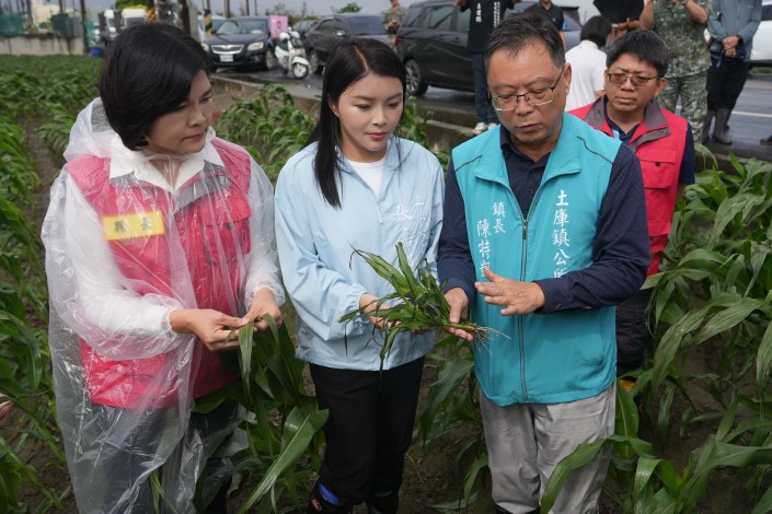 強風吹襲,造成許多作物葉片枯黃、萎凋，恐出現延遲性災損。