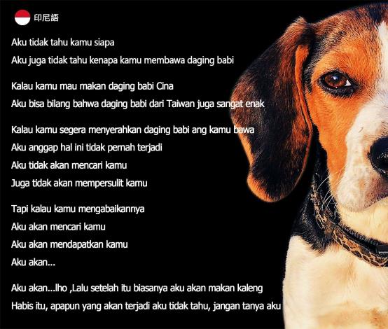 防疫犬-印尼
