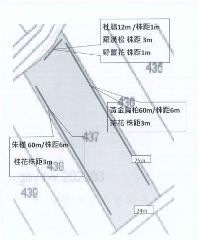 栽植配置圖範例6