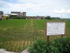五魁村社區自耕實驗農場