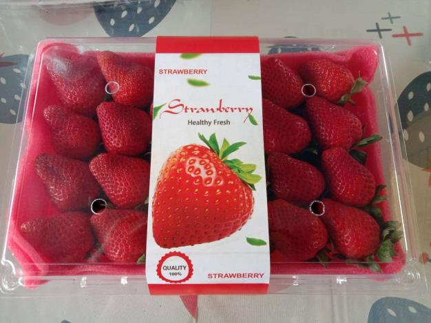16裕豐草莓園