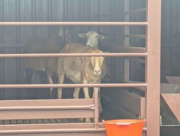 LINE_ALBUM_1140730志願服務觀摩研習_250801_249