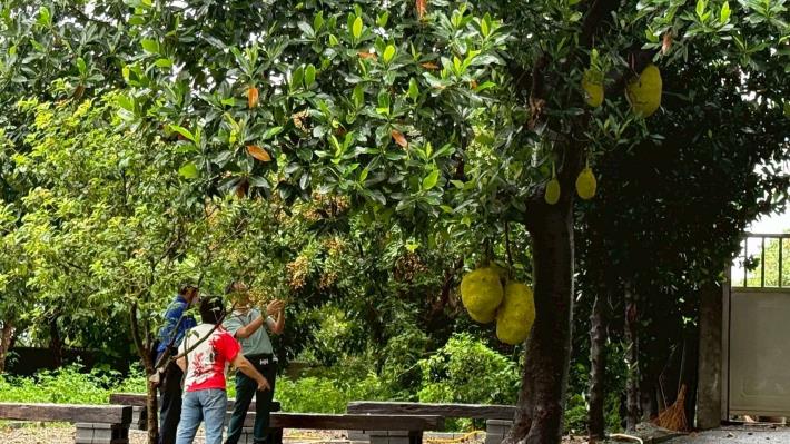 LINE_ALBUM_1140730志願服務觀摩研習_250801_90