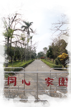 Tongxin Park