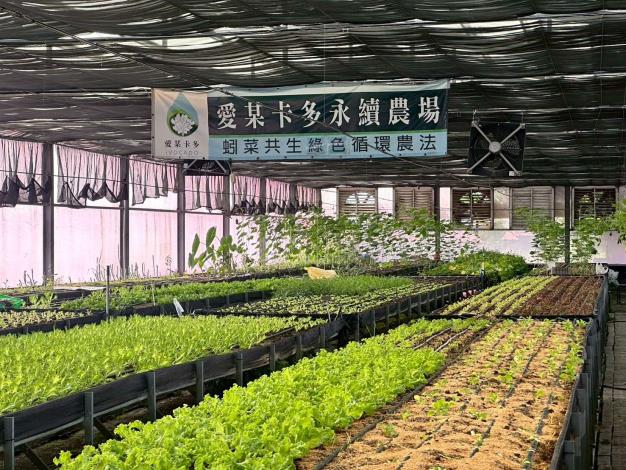 愛某卡多 (13)