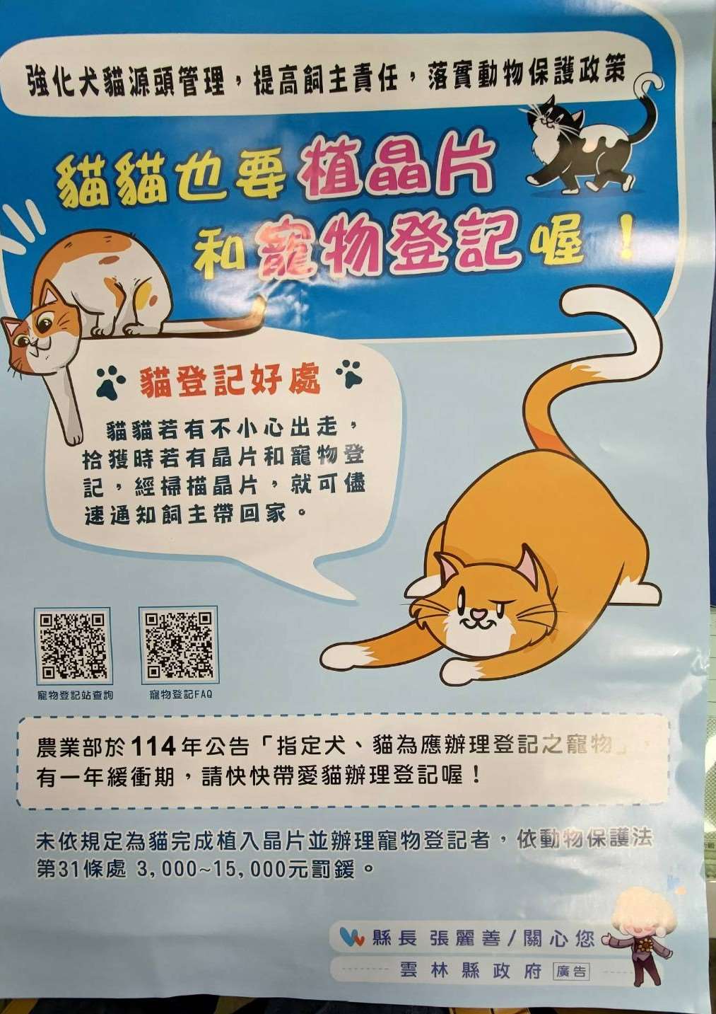 海報