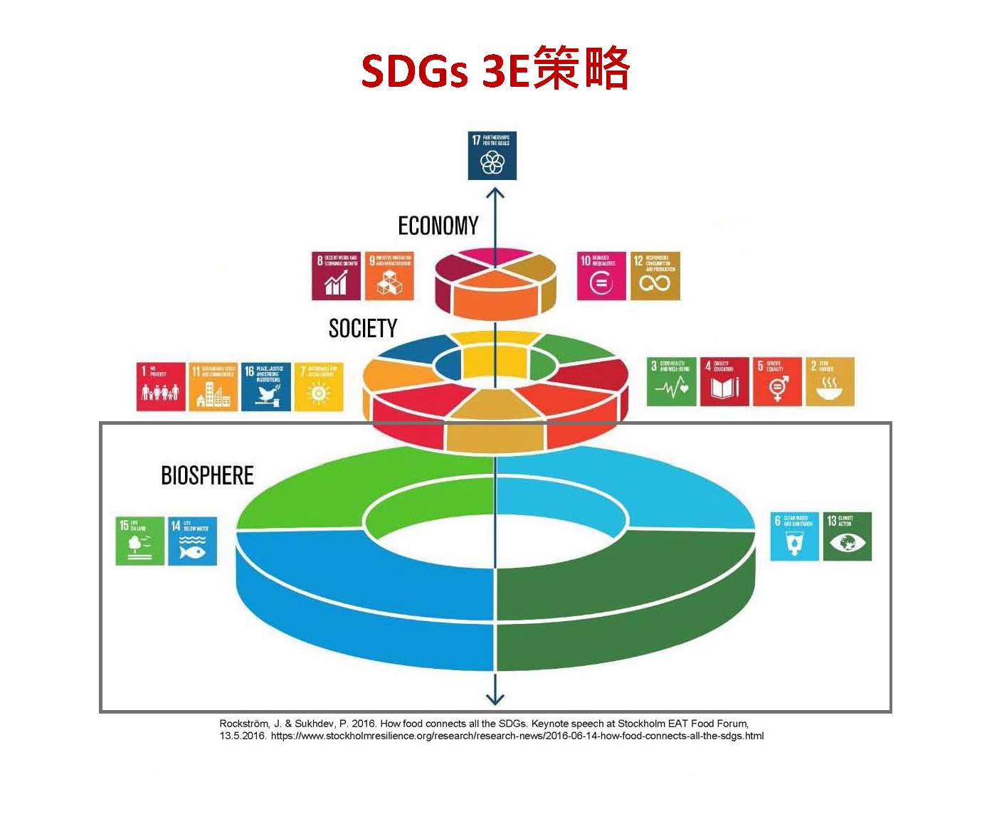 SDGs 3E策略